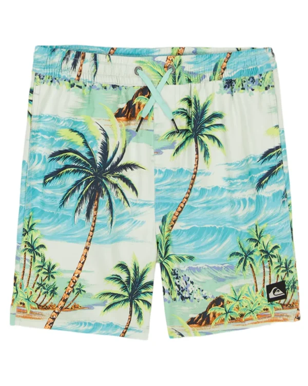 Quiksilver Boardshorts>Boys 8-16 Everyday Mix Volley BeachGlass