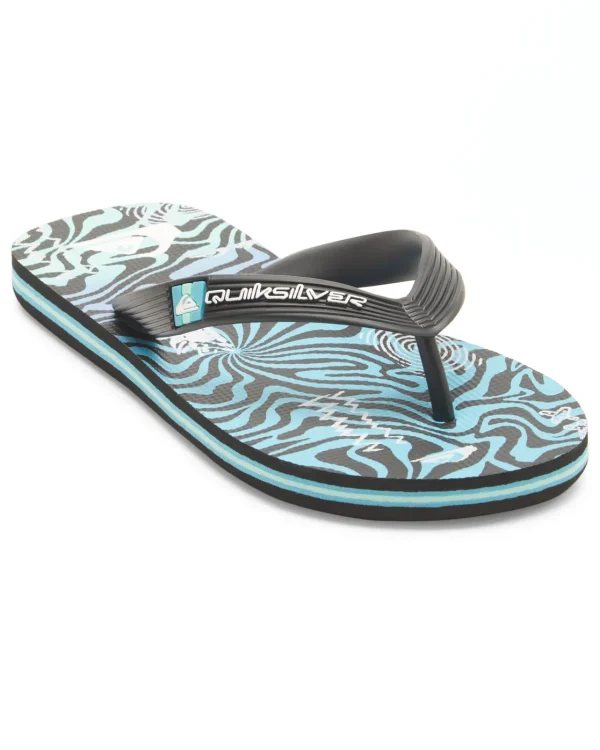 Quiksilver Sandals | Boys Gifts>Boys 8-16 Molokai Art II Sandals BLUE4