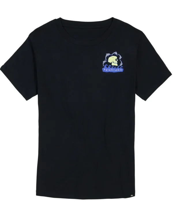 Quiksilver Tees>Boys 8-16 Porpoises T-Shirt Black