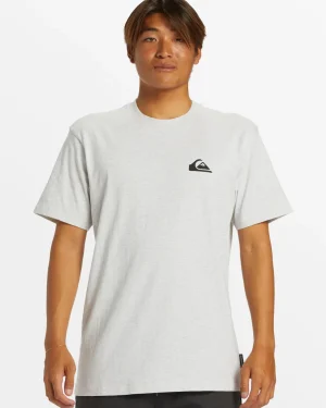 Quiksilver Tees>Comp Logo DNA T-Shirt - SNOWHEATHER