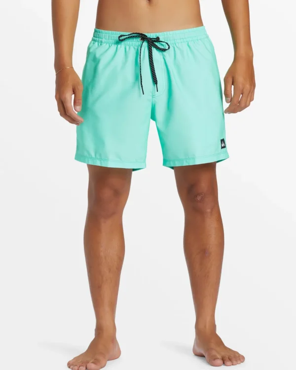 Quiksilver Boardshorts | Boardshorts>Everyday Solid 15" Swim Trunks BEVELEDGLASS