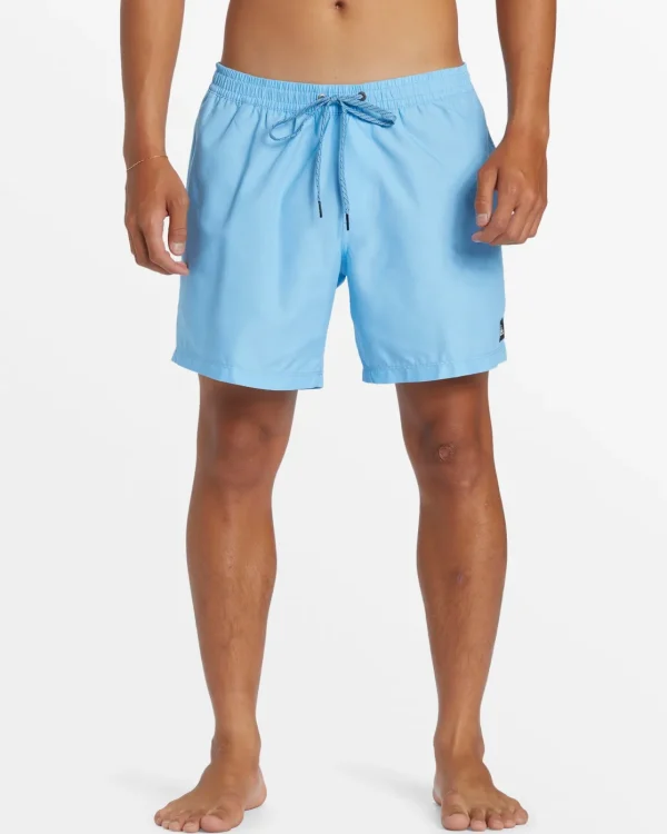 Quiksilver Boardshorts | Boardshorts>Everyday Solid 15" Swim Trunks ALASKANBLUE
