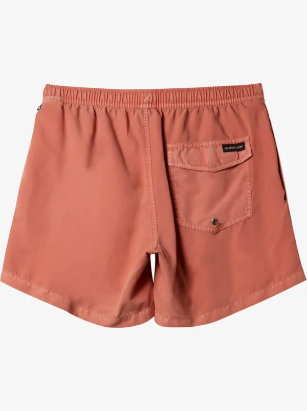 Quiksilver Boardshorts | Boardshorts>Everyday Surfwash 17" Swim Trunks CANYONCLAY