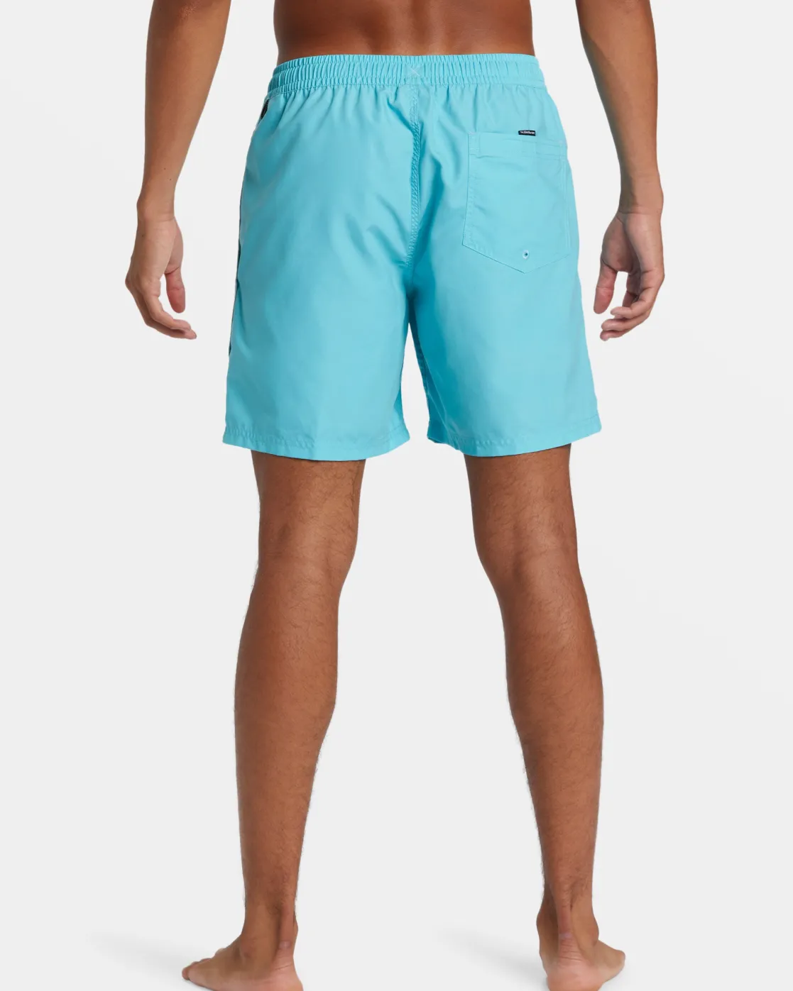 Quiksilver Boardshorts | Boardshorts>Everyday Vert 2 17" Swim Trunks MAUIBLUE