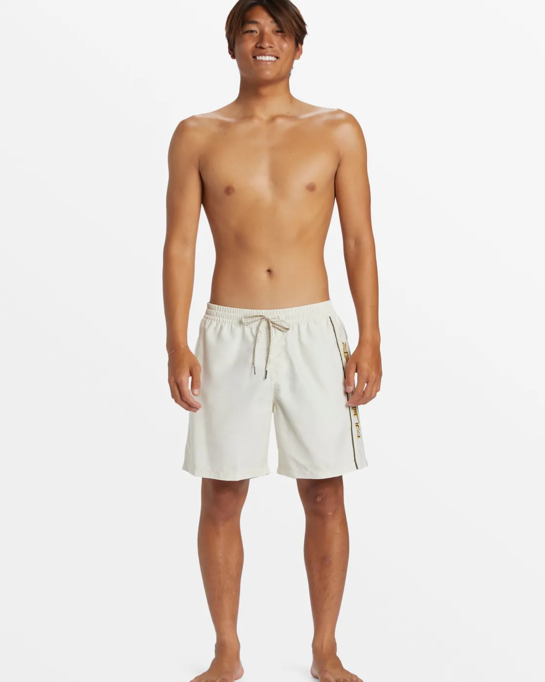 Quiksilver Boardshorts | Boardshorts>Everyday Vert 2 17" Swim Trunks SILVERBIRCH