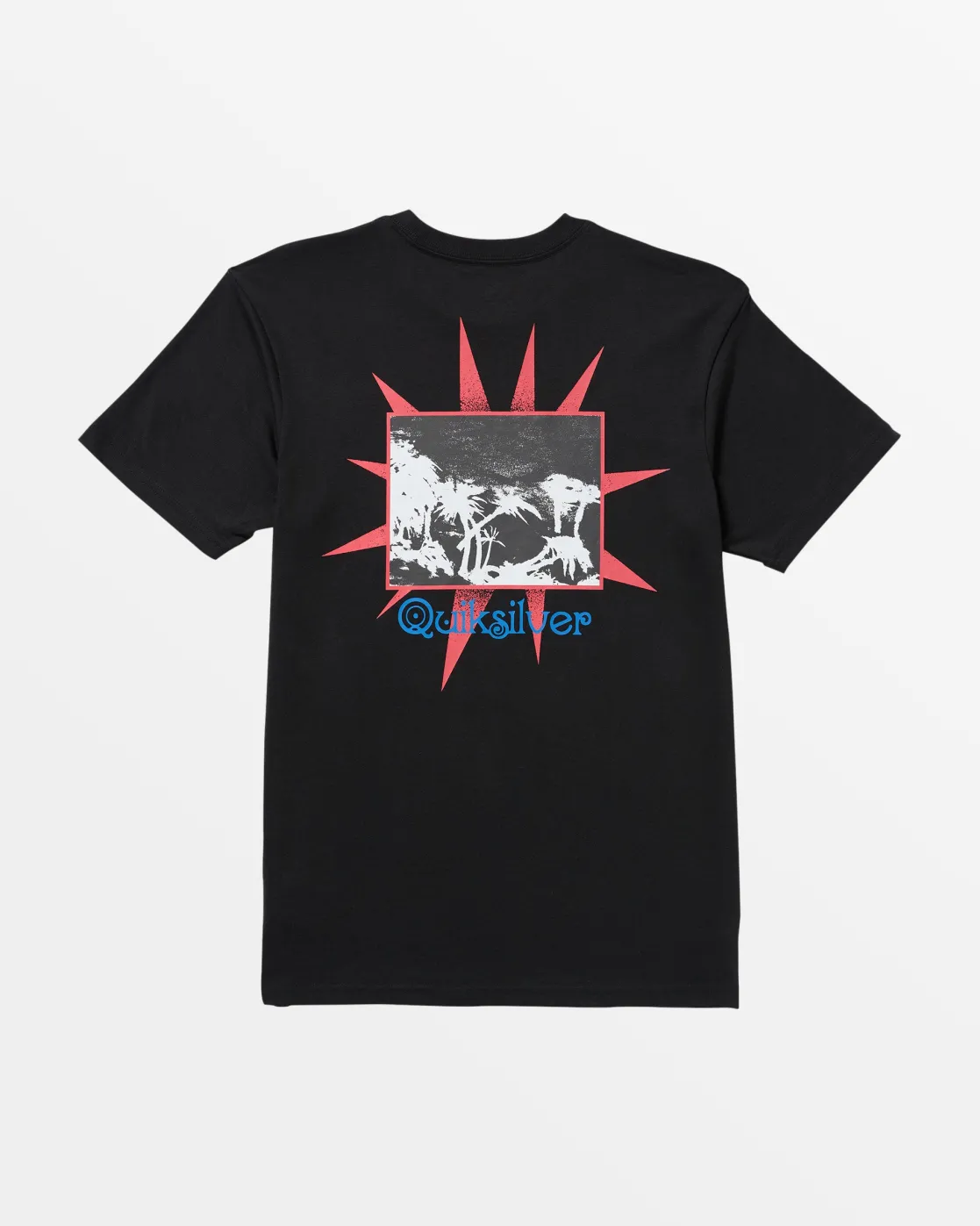 Quiksilver Tees>Grey Days T-Shirt BLACK