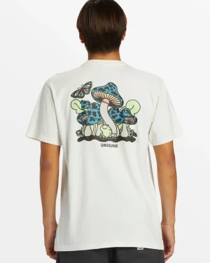 Quiksilver Tees>Harsh Mellow T-Shirt GARDENIA