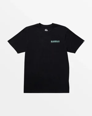 Quiksilver Tees>Hawaii Seal T-Shirt BLACK