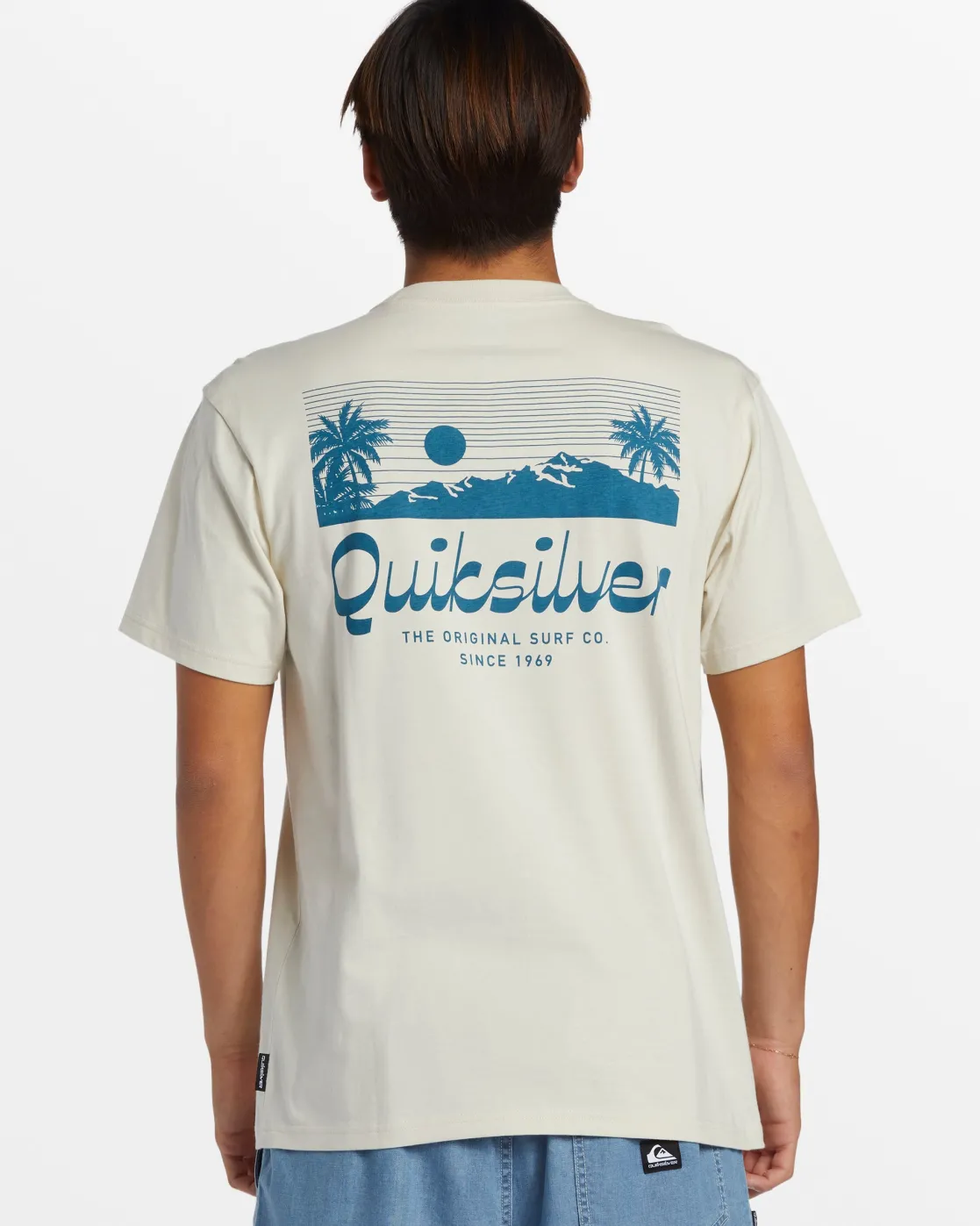 Quiksilver Tees>Island Mode T-Shirt - SILVERBIRCH