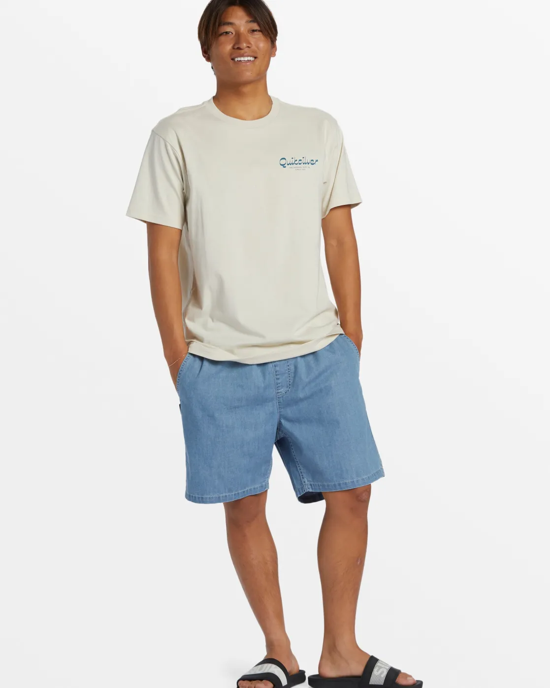 Quiksilver Tees>Island Mode T-Shirt - SILVERBIRCH