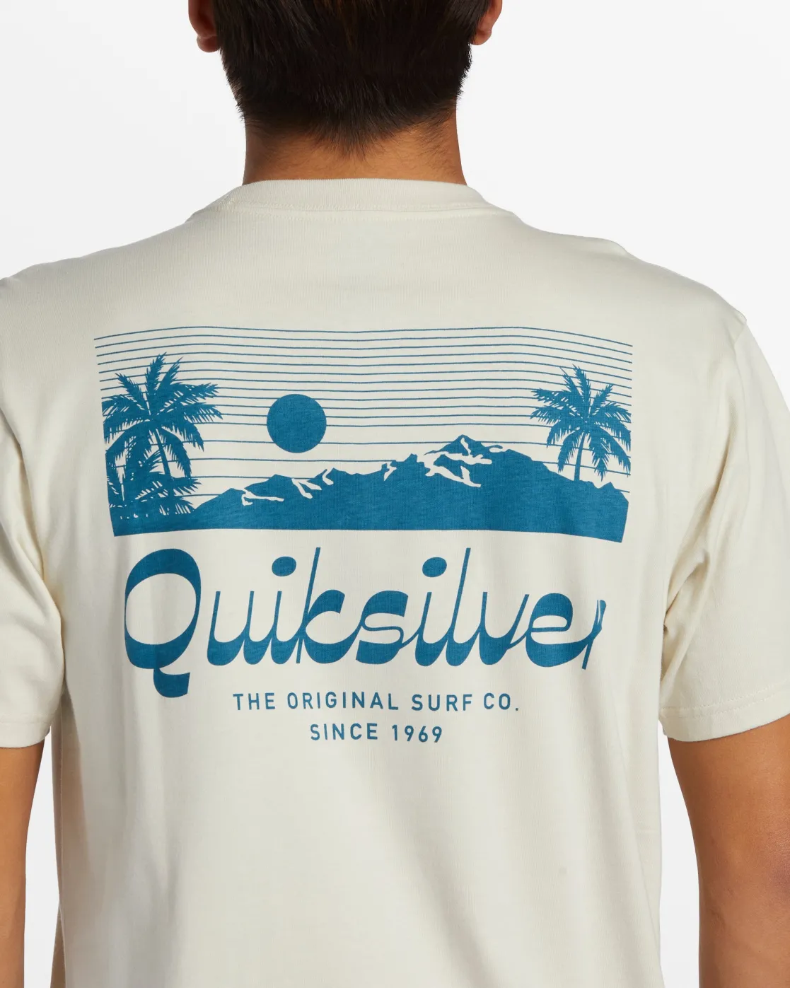 Quiksilver Tees>Island Mode T-Shirt - SILVERBIRCH
