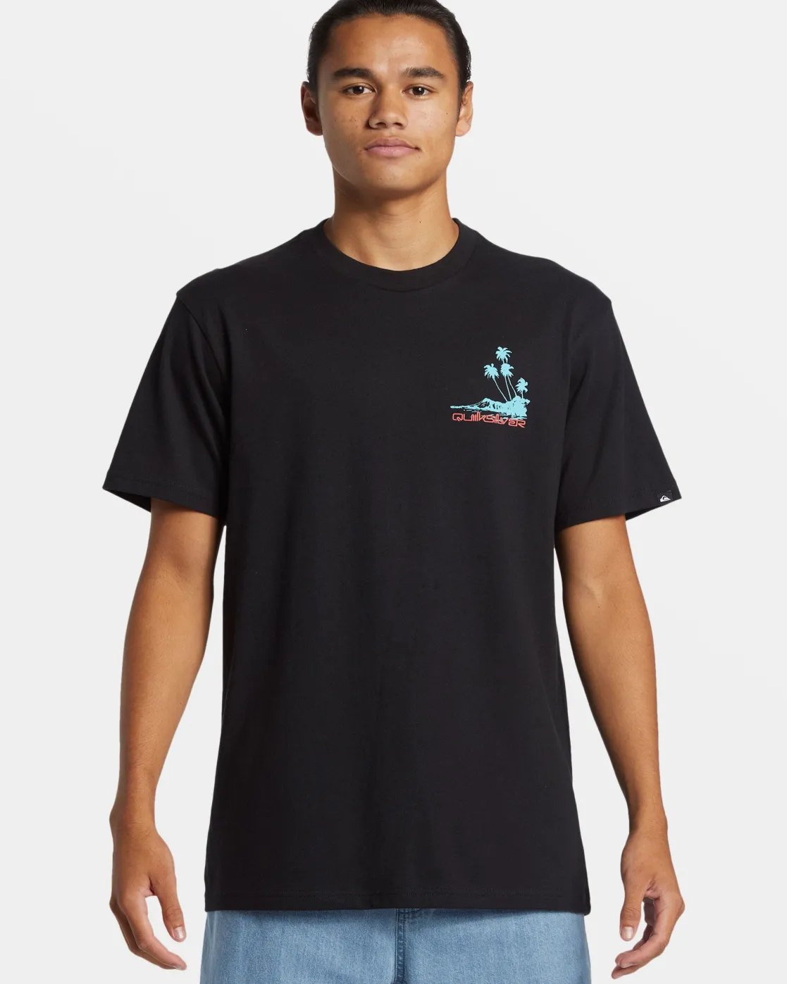 Quiksilver Tees>Island Vibes T-Shirt BLACK