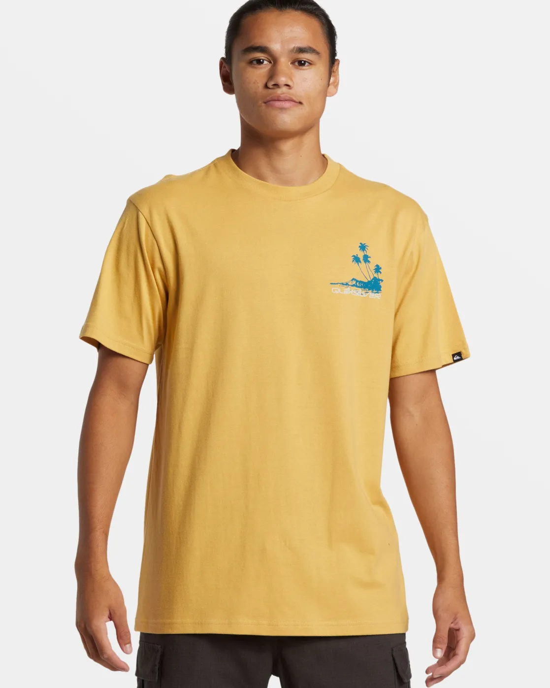 Quiksilver Tees>Island Vibes T-Shirt FALLLEAF