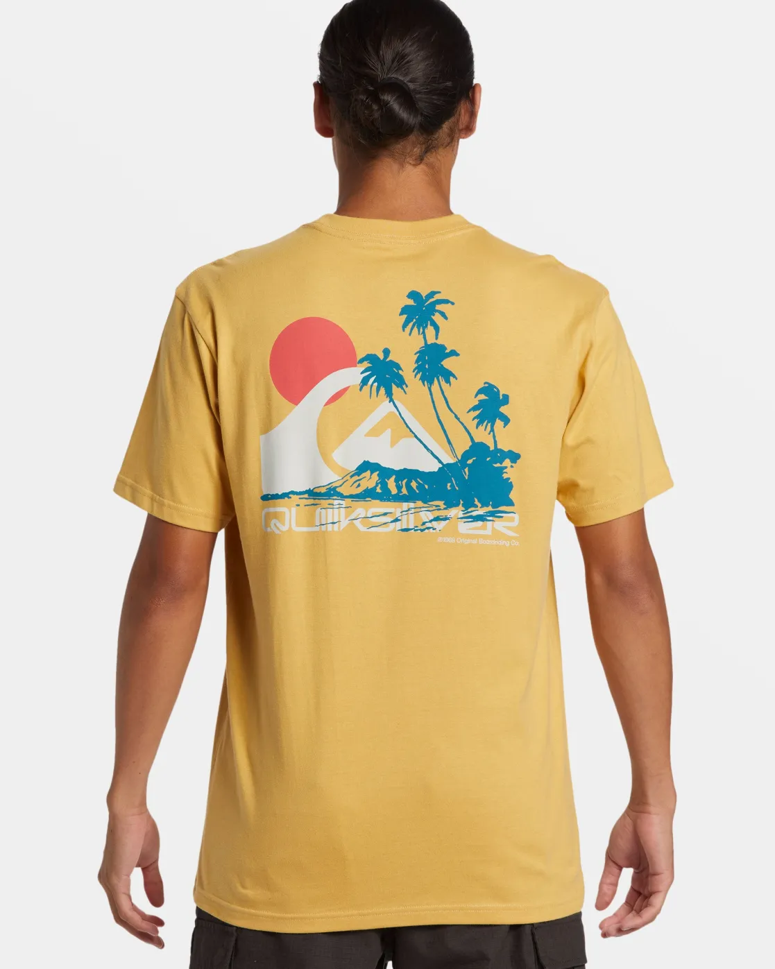 Quiksilver Tees>Island Vibes T-Shirt FALLLEAF