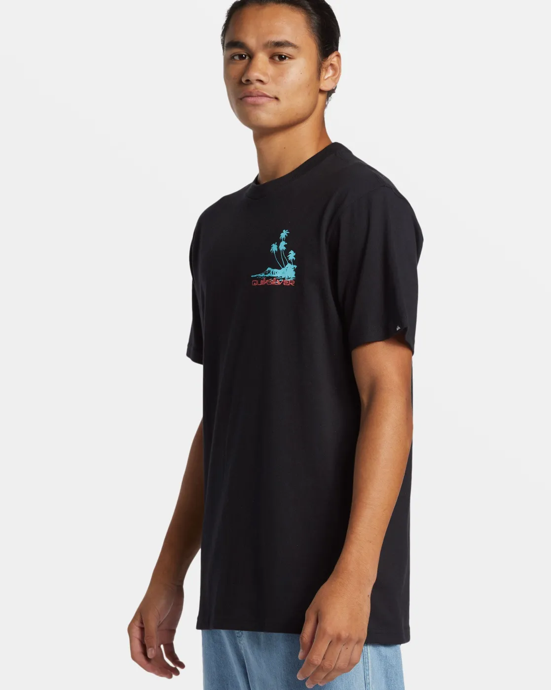 Quiksilver Tees>Island Vibes T-Shirt BLACK