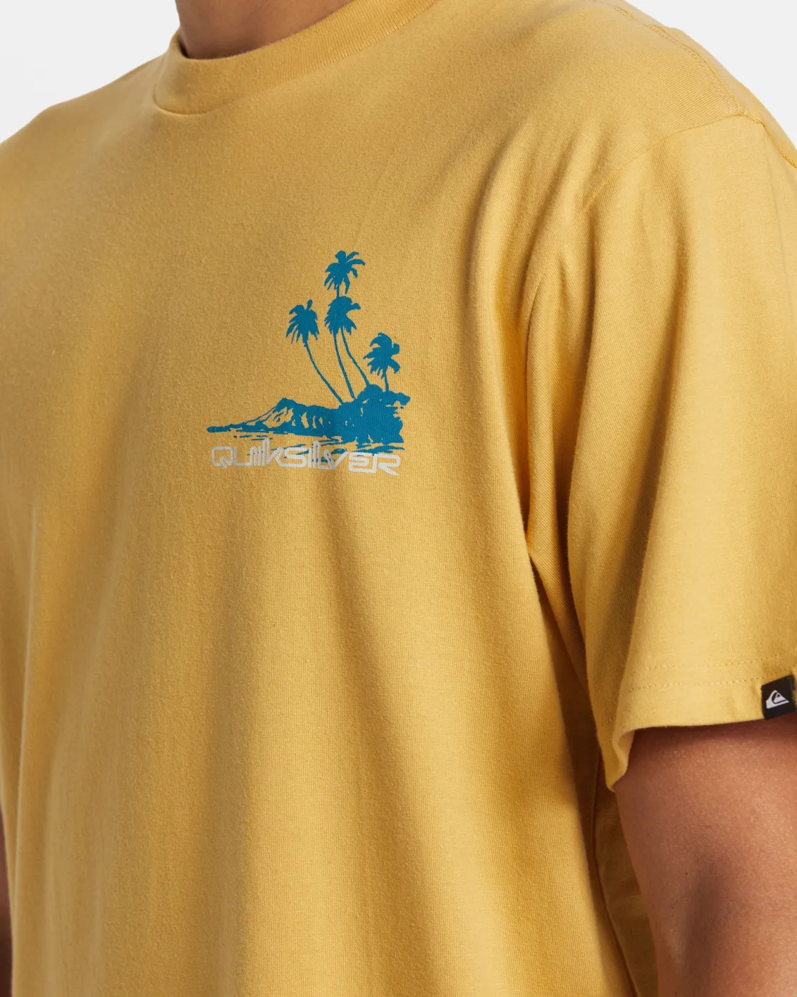 Quiksilver Tees>Island Vibes T-Shirt FALLLEAF