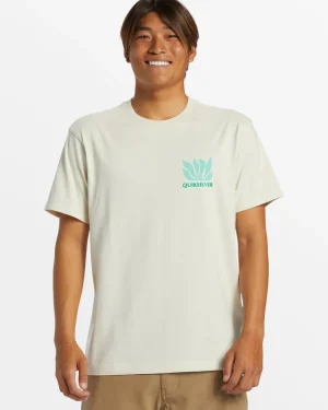 Quiksilver Tees>Natural Forms T-Shirt - SILVERBIRCH