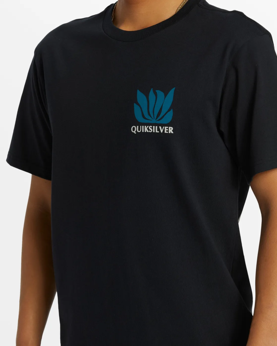 Quiksilver Tees>Natural Forms T-Shirt - BLACK