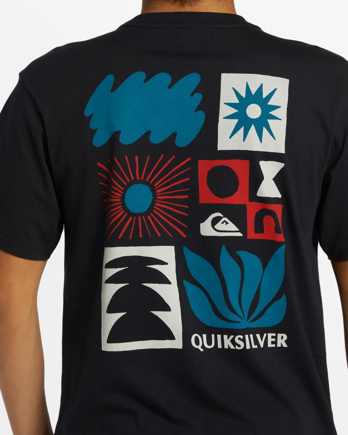 Quiksilver Tees>Natural Forms T-Shirt - BLACK