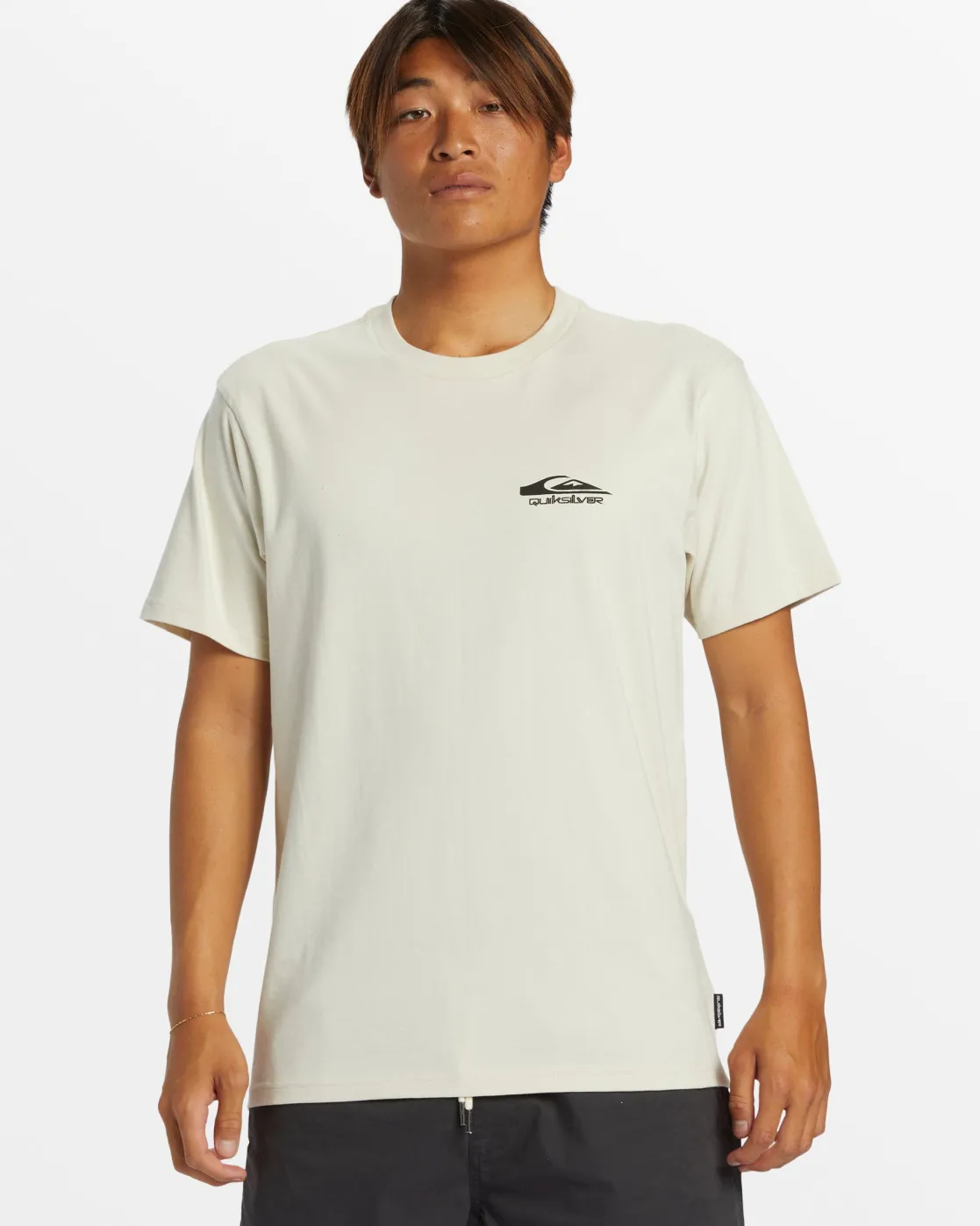 Quiksilver Tees>Retro Rocker T-Shirt - SILVERBIRCH
