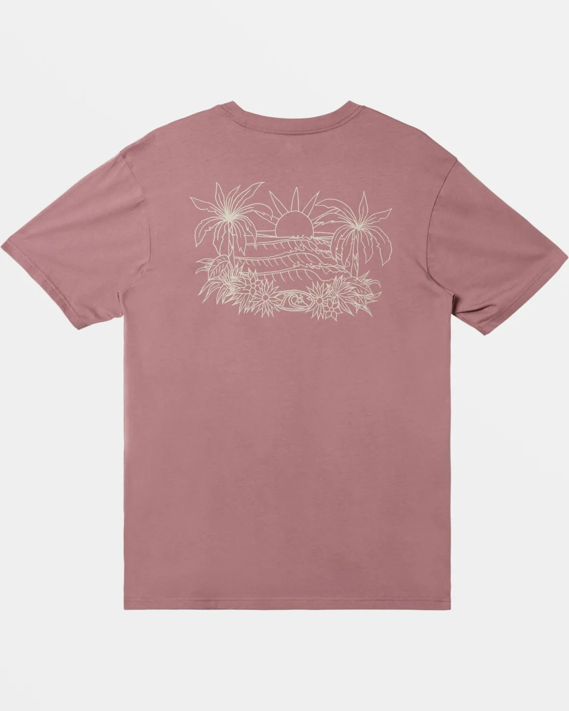 Quiksilver Tees>Right Point T-Shirt GRAPESHAKE