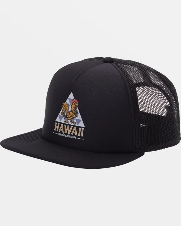 Quiksilver Hats>Roosting Trucker Hat BLACK