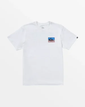 Quiksilver Tees>Stars And Stripes T-Shirt WHITE